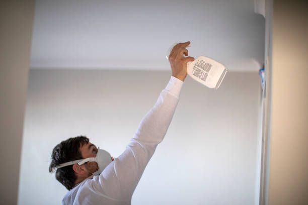 Mold Removal and Inspection in Owens Cross Roads, AL