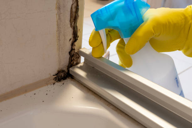 Crawl Space Mold Removal in Owens Cross Roads, AL